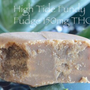 High tide fundy fudge (150 mg thc)