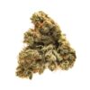 GAS OG - Image 4