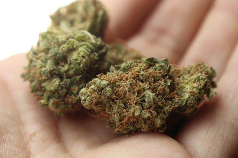 Buy weed online