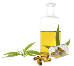 Co2 oil