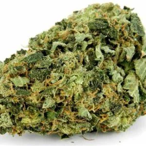 Buy Hindu Kush Strain online