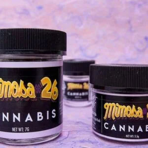 MIMOSA #26